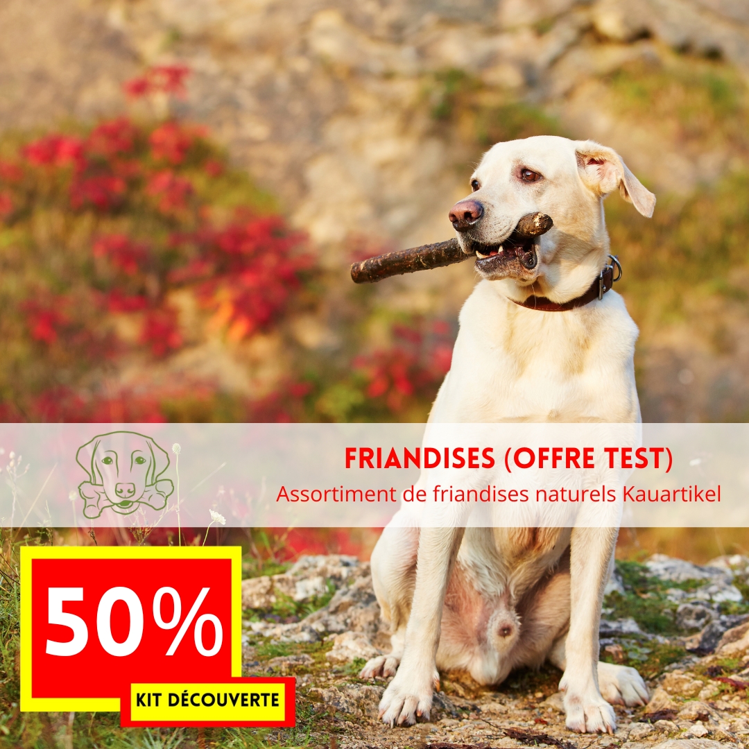 OFFRE DECOUVERTE 2025 Kit de produits chien -50% (offre test FRIANDISES)
