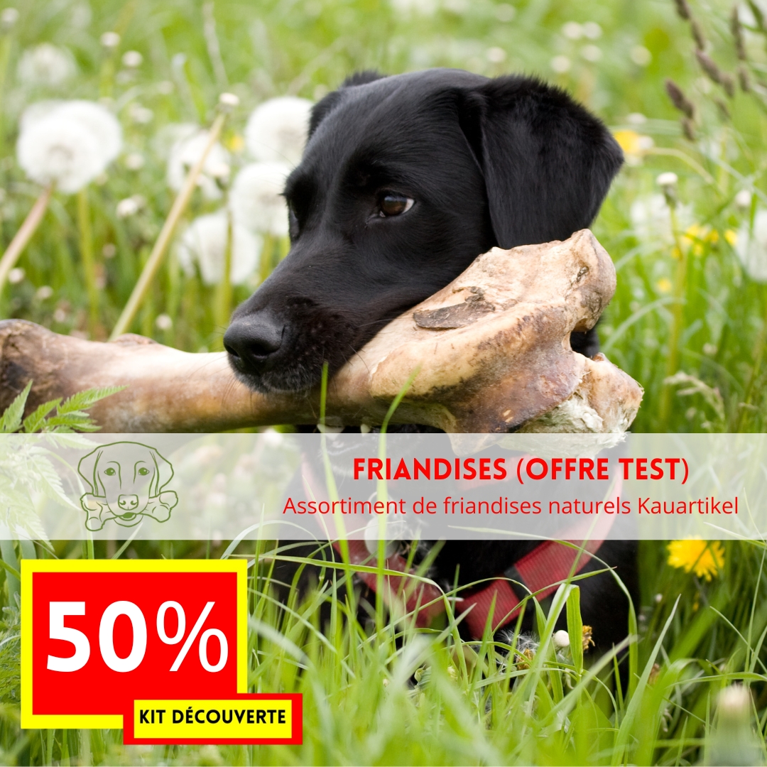 OFFRE DECOUVERTE 2025 Kit de produits chien -50% (offre test FRIANDISES)