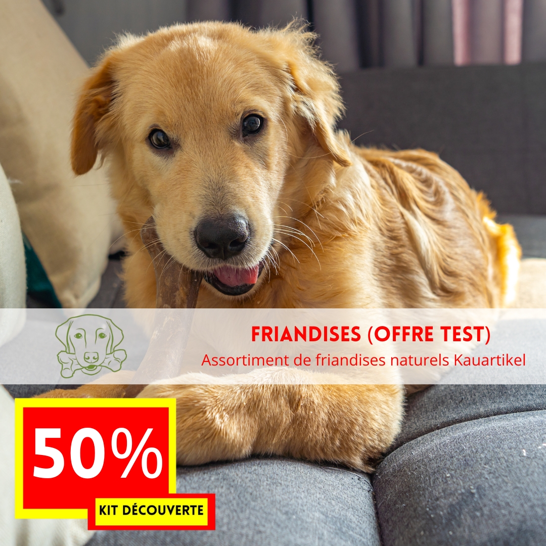 OFFRE DECOUVERTE 2025 Kit de produits chien -50% (offre test FRIANDISES)