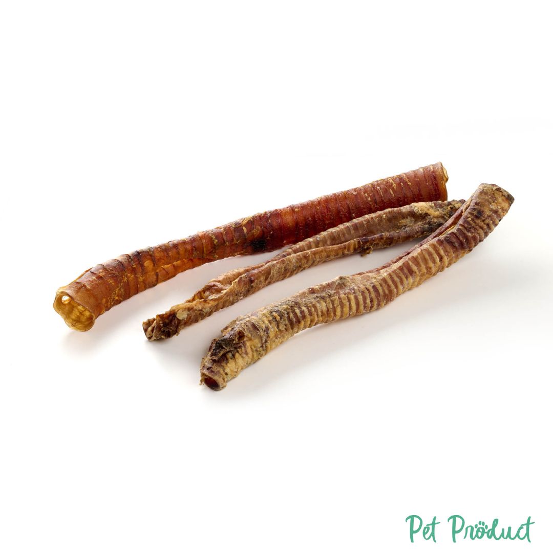 Kauartikel Friandise pour Chien Trachées de Cheval Séchées XXL (Pferde-Strossen PfStro70)