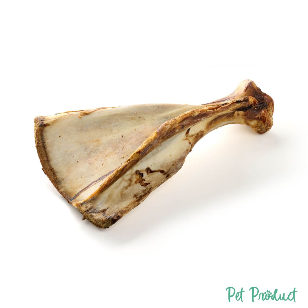 Kauartikel Friandise pour Chien Épaule de bœuf géante (Rinder-Schulterblatt RschG1T)